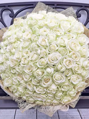 Белые розы классика 101 шт. купить с доставкой в Москве. Цена от 11110 ₽