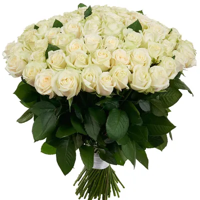 Белые розы - купить по выгодной цене | Цветочный магазин \"Оазис\"