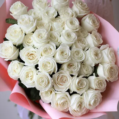 Белые розы. Галерея фото | Белые розы, Розы, Цветок