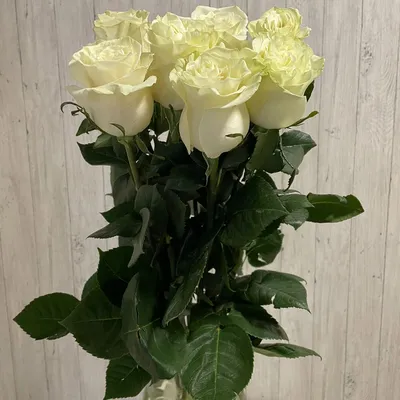 Розовые и белые розы микс 51 шт. купить с доставкой в Москве. Цена от 5355 ₽