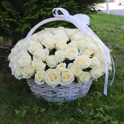 Купить Белые розы 60 см (11шт, 15шт, 25шт, 35шт, 45шт) за 2200 руб. в  Набережных Челнах - «FLO-master»