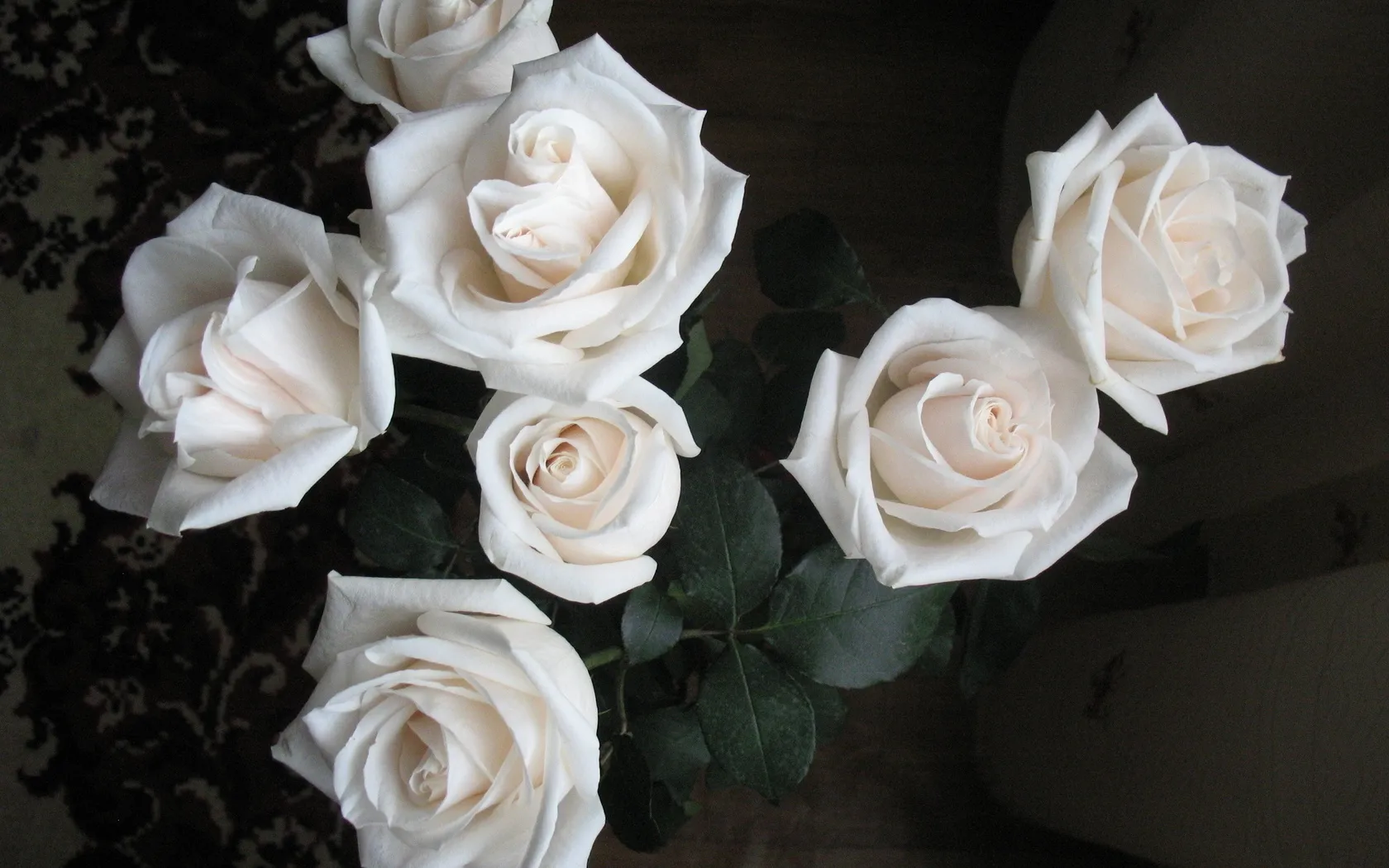 белые розы с оттенком фото