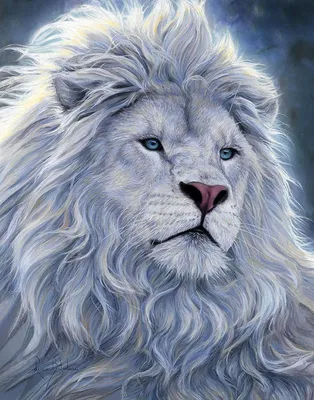 белый лев | Leão albino, Fotos de leão, Imagens de leão