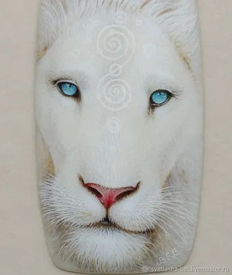 Животное белый лев - 66 фото