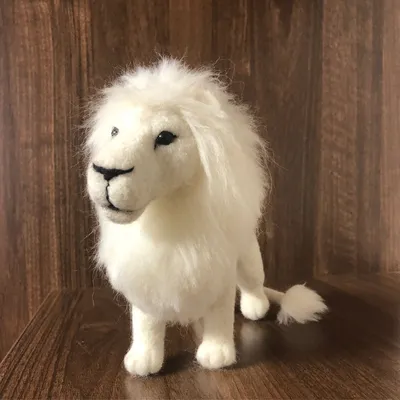В ярославском зоопарке будет жить белый лев Кай - YarNews.net