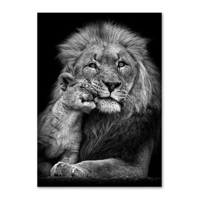 Картинки белого льва - 81 фото