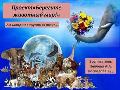 Творческий конкурс «бЕРегите животных!» проводит «Единая Россия» в  Иркутской области