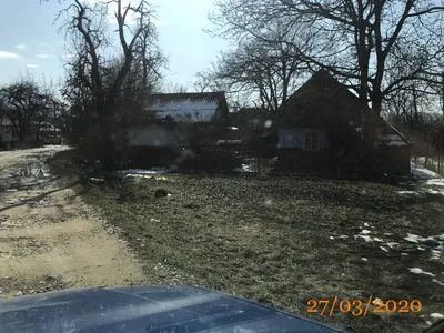 Календарь выставок голубей в городе Берегомет