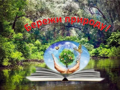 Лэпбук «Береги природу!» (5 фото). Воспитателям детских садов, школьным  учителям и педагогам - Маам.ру