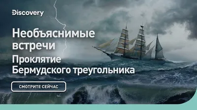 Мария Краснова-Шабаева «Дома и домики в Бермудском треугольнике» — Картинки  и разговоры