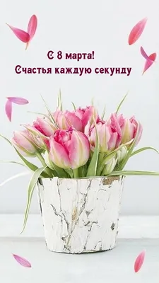 Бесплатные цветы к 8 марта - KP.RU
