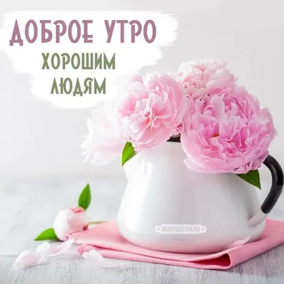 Розы в коробке \"Доброго утра\" за 9 590 руб. | Бесплатная доставка цветов по  Москве