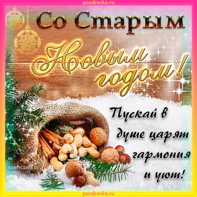 Смешные картинки Старый Новый Год – Привет Пипл!