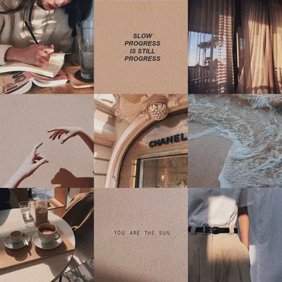 beige #бежевый #aesthetic #эстетика #wallpaper #flowers #plants #растения  #цветы #обои #foundalighter | Resim çerçeveleri, Resim duvarı, Poster  tasarımları