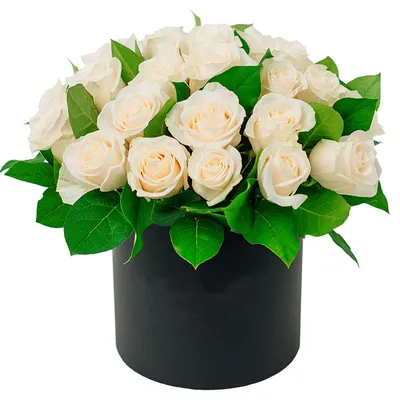Купить Розы. Кремовые ( Бежевые ) розы. Букет из 29 роз с доставкой по  Москве