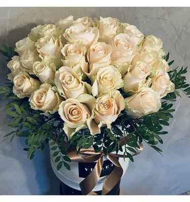 Букет 51 кремовая роза 35 см. - заказать в Санкт-Петербурге. Кустовые и  пышные Кремовые для букета невесты, на свадьбу, юбилей с доставкой.