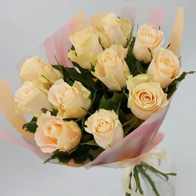 Almaflowers.kz | Кремовые розы \"Pinch Avalanche\" - купить в Алматы по  лучшей цене с доставкой