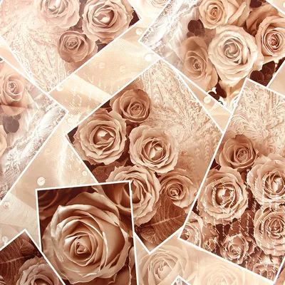Фотообои Розы в бежевых тонах купить на стену • Эко Обои