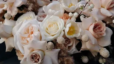 Фотообои Бежевые розы купить на Стену — Цены и 3D Фото интерьеров в  Каталоге интернет магазина allstick.ru