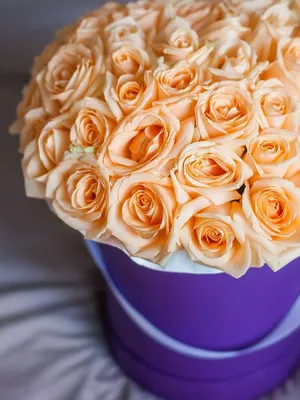 Букет из 101 кремовой розы «Восхищение» купить в Москве в Букет-Элит