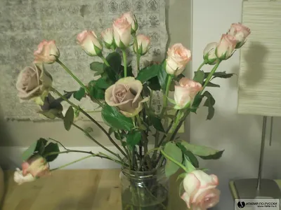 Купить кремовые розы Харьков - Заказать букет от KVITOLUX