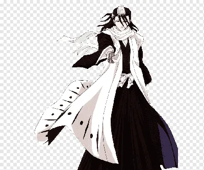 Бякуя Кучики | Wiki | Bleach Амино Amino