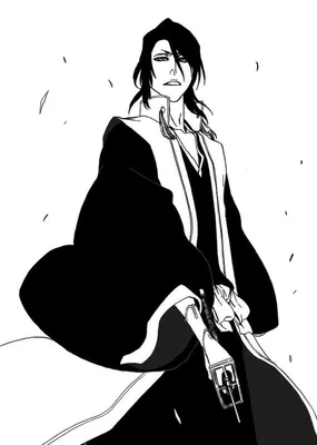 Kuchiki Byakuya/#1580862 - Zerochan | Bleach anime, Bleach manga, Bleach  characters