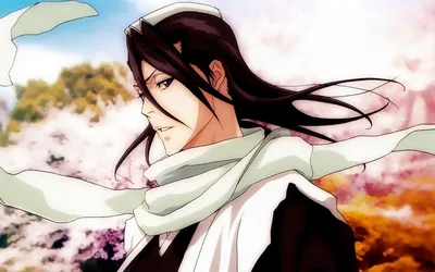 Обои на рабочий стол Бьякуя Кучики / Kuchiki Byakuya из аниме Блич /  Bleach, обои для рабочего стола, скачать обои, обои бесплатно