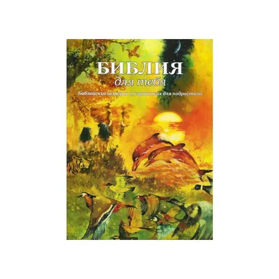 Christian Russian Bookstore Библия для тебя.Библейские истории в картинках  для подростков. 978-966-1667-02-9 Christian Russian Bookstore