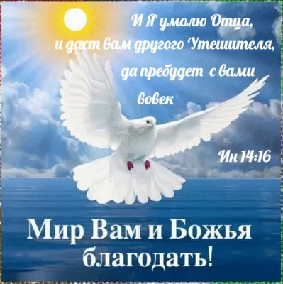 Православие Это Любовь on Instagram: “ДОБРОЕ УТРО! ВСЕМ ДУХОВНОЙ РАДОСТИ,  ЗДОРОВЬЯ И БЛАГОДАТИ БОЖИЕЙ!!! ⠀ ———————————— Б… | Молитвы, Брат и сестра, Божья  благодать