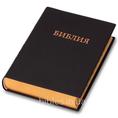 Детская Библия с картинками (ID#1391407499), цена: 225.40 ₴, купить на  Prom.ua