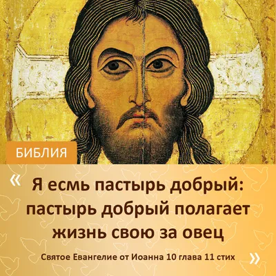 Купить книгу Библия в картинках и рассказах (арт. 11048) от издательства  Российское Библейское общество