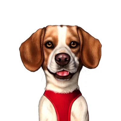 Бигль. Портрет собаки по фото – заказать на Ярмарке Мастеров – NK9LMBY |  Картины, Балашиха
