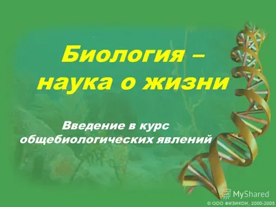 Презентация на тему: \"Биология – наука о жизни Введение в курс  общебиологических явлений.\". Скачать бесплатно и без регистрации.