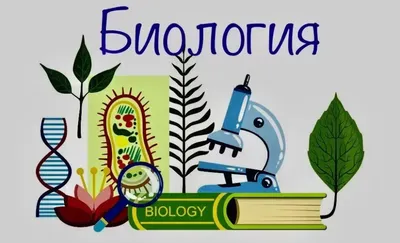 Учебник Биология. 9 класс Введение в общую биологию - купить учебника 9  класс в интернет-магазинах, цены на Мегамаркет | 1636807