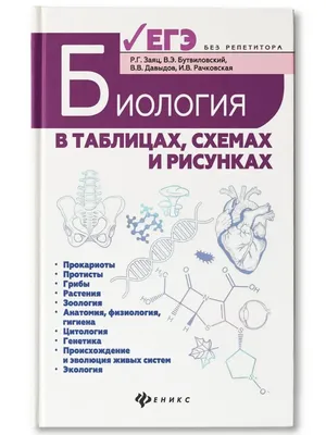 Биология в таблицах, схемах и рисунках : ЕГЭ Издательство Феникс 6592672  купить за 381 ₽ в интернет-магазине Wildberries