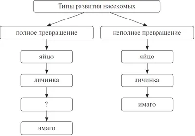 Теория к 1 заданию ЕГЭ биология 2024: разделы по первому заданию