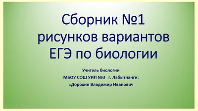 ФИПИ: Для успешной сдачи ЕГЭ по биологии необходима практика |  sotsproekt-ryazan.ru