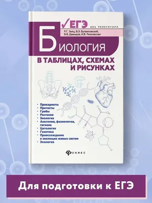 Биология в таблицах, схемах и рисунках : ЕГЭ Издательство Феникс 6592672  купить за 381 ₽ в интернет-магазине Wildberries