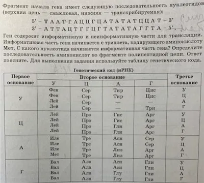 ЕГЭ-2014 в картинках - Официальный сайт МБОУ ЛИЦЕЙ №6Официальный сайт МБОУ  ЛИЦЕЙ №6