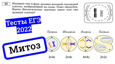 Информационные плакаты для участников ЕГЭ - Olginskoe.ru