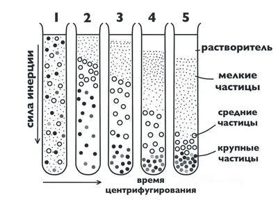 Купить ЕГЭ. Биология. Новый полный справочник для подготовки к ЕГЭ Лернер  Г.И. | Book24.kz