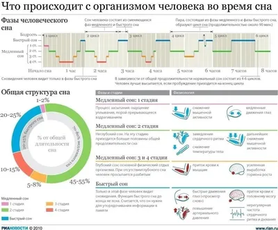 Биология в картинках: Цикл развития трипаносомы (Вып. 2) - YouTube