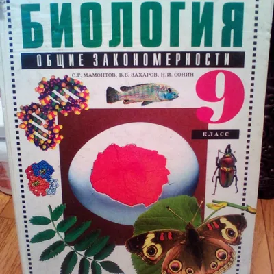 Книга: Молекулярная биология. Автор: Иванищев В.В.. Купить книгу, читать  рецензии | ISBN 978-5-369-01731-9 | Azon