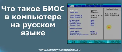 Цифровизация Профсоюза — Профсоюз образования Санкт-Петербурга и  Ленинградской области