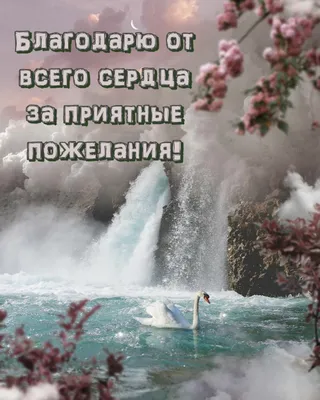 Картинки с надписями. Благодарю от всего сердца за приятные пожелания!.