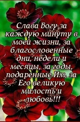 Идеи на тему «Благодарность Богу» (100) | христианские цитаты, бог,  библейские цитаты