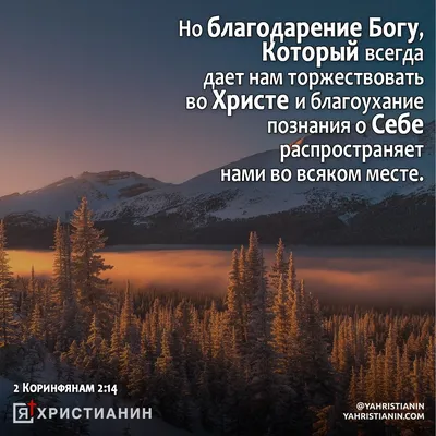 благодарение и благодарность богу Иисусу Христу библейскому понятию  Стоковое Фото - изображение насчитывающей признательность, хлебоуборка:  232271598