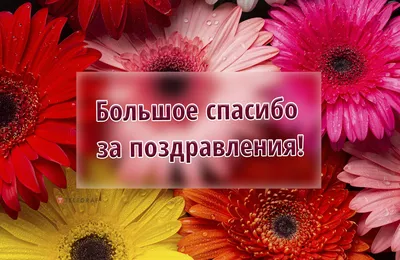 Всем,всем, огромное спасибо за поздравления с днём рождения! Телефон в  буквальном смысле разрывается от по.. | ВКонтакте