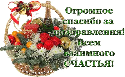 ОльгаЖива-Психолог - Спасибо всем за поздравления с днём рождения внучки  Авроры. Мне было очень приятно. Если кого-то не поблагодарила лично - не  обижайтесь! Очень уж насыщенные выдались дни. #ольгажива  #ольгажива_психолог #яжелаювсемсчастья |